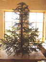 
Setting up the Christmas tree with the stand.
